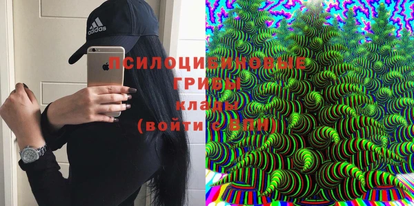 эйфоретик Алексеевка