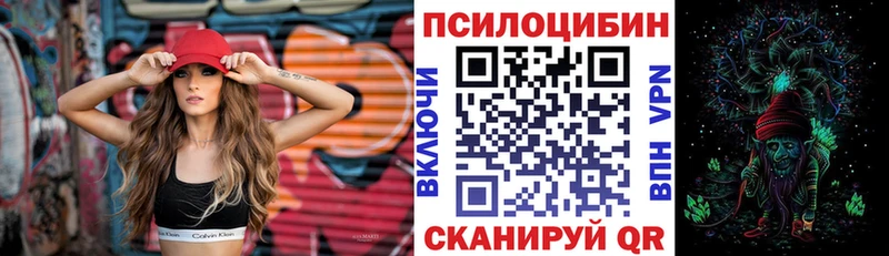 Галлюциногенные грибы Psilocybe Солнечногорск